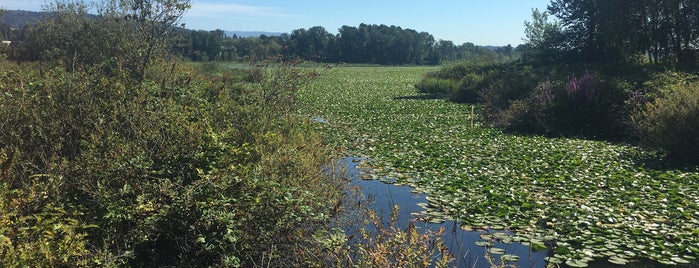 Burnaby Lake Regional Park (Piper Spit). is one of Lugares favoritos de Paige.