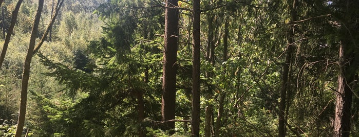 Whatcom Falls Park is one of Paige’s Liked Places.