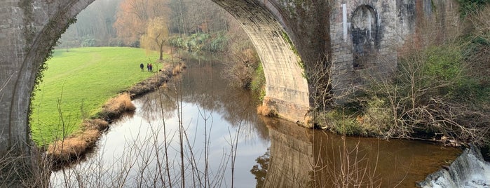 Dalkeith Country Park is one of Orte, die Paige gefallen.