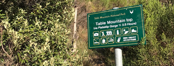 Table Mountain National Park is one of Tempat yang Disukai Paige.