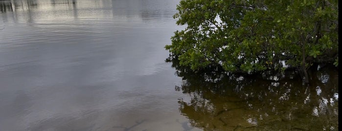 George English Park is one of Exploration in Ft Lauderdale.