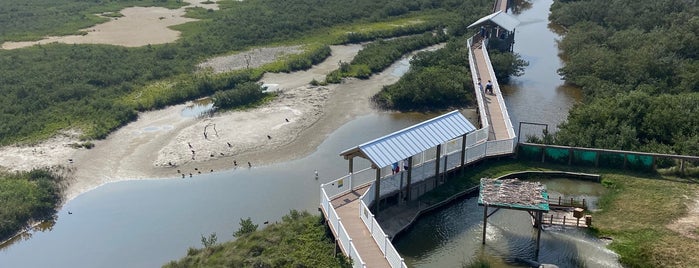 South Padre Island Birding & Nature Center is one of South Padre Island.