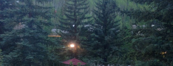 The Hythe, a Luxury Collection Resort, Vail is one of Orte, die Monique gefallen.