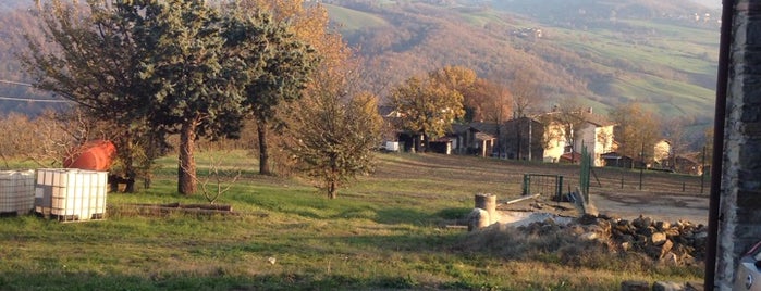 Agriturismo Monte Prinzera is one of Ristò.