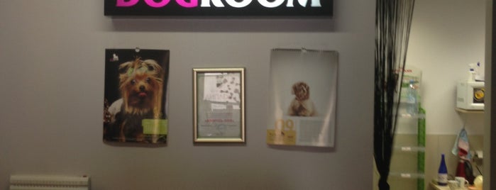 DOGROOM is one of Lugares favoritos de Лилия.