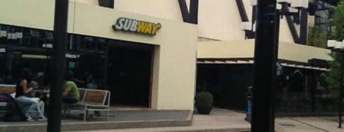 Subway is one of FAST FOOD.