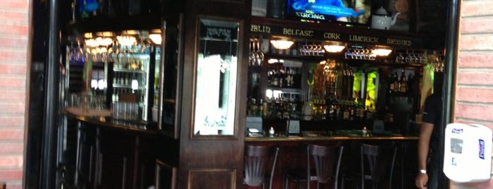 DUBLIN Public House is one of Lugares favoritos de Erika.