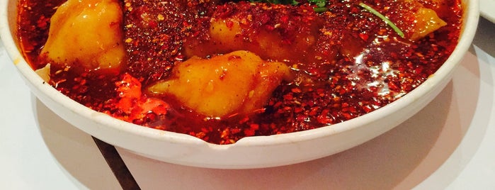 Szechuan Gourmet is one of NYC Food - $.