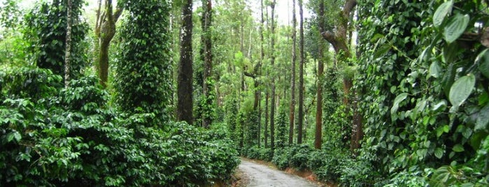 Coorg is one of My Favorite Places.