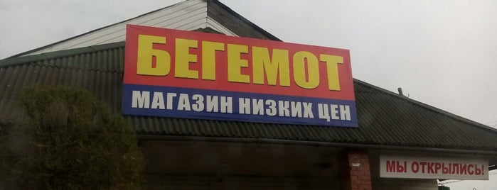 Бегемот is one of Минусинск.