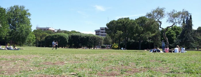 Parco Due Giugno is one of Orte, die Vincenzo gefallen.