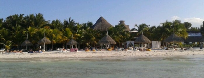 Playa Holbox is one of México (Riviera Maya).