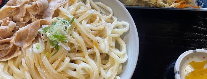 天めん is one of 吉田うどん.