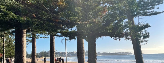 Manly Beach is one of Sydney. AU.