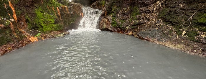 River Oyunuma Natural Footbath is one of Jap.