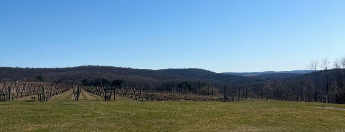 Millbrook Vineyards & Winery is one of adventures outside nyc.