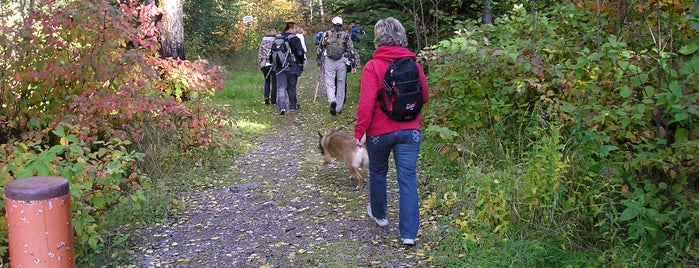 Cataraqui Creek Conservation Area is one of Lugares favoritos de Ben.