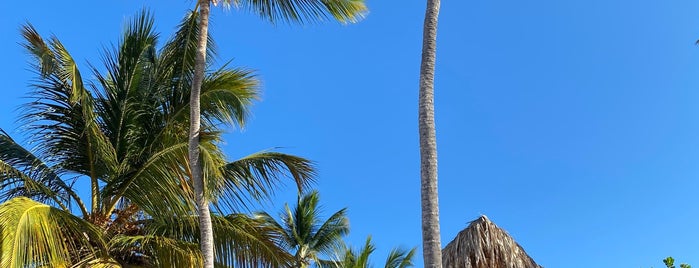 Playa Cabeza de Toro is one of Punta Cana.