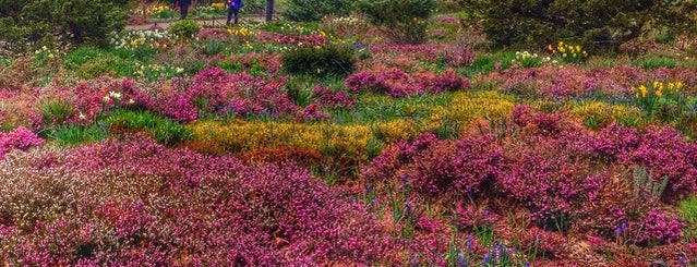 Heather Garden is one of An Amateur Botanist's Guide to Local Gardens.
