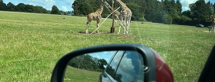 Knuthenborg Safaripark is one of To Go @Copenhagen.