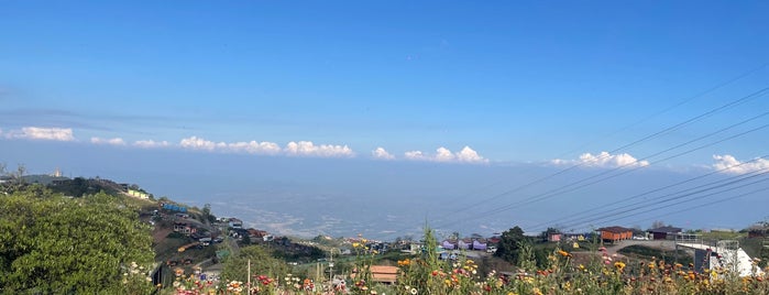 Phu Thap Boek is one of เขาค้อ ภูทับเบิก เชียงคาน.