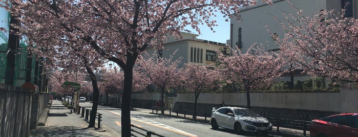 金城学院高等学校榮光館 is one of 名古屋界隈.