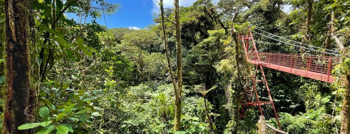 Reserva Biológica Bosque Nuboso Monteverde is one of Costa Rica.