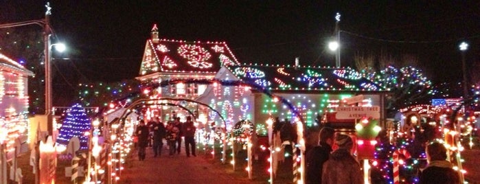 Koziar's Christmas Village is one of Christmas Lights.
