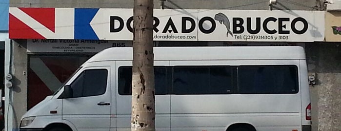 Dorado Buceo is one of สถานที่ที่ Fernando ถูกใจ.