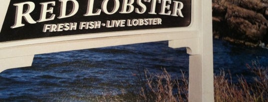 Red Lobster is one of Dion’s Liked Places.