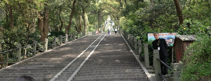 Sheshan National Forest Park is one of Shanghai Public Parks.