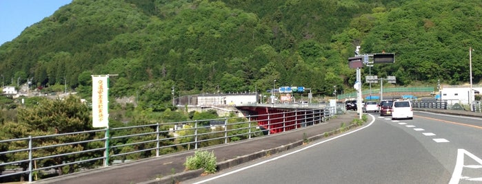 池田大橋 is one of 吉野川に架かる橋.