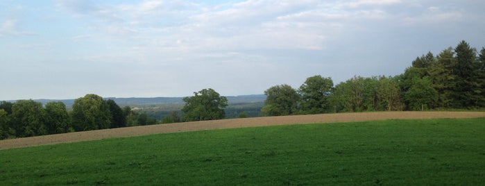 Panoramakanzel is one of Jagd.