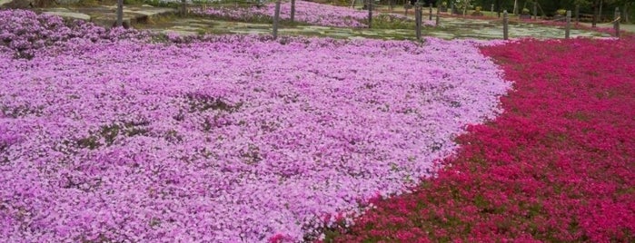 相模三川公園 is one of 神奈川県立都市公園一覧.