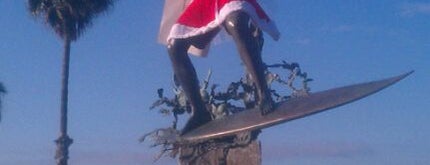 The Cardiff Kook is one of Must Visit places 4 Coastal San Diego North County.