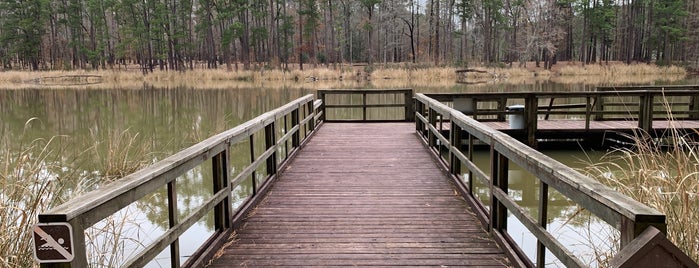 Ratcliff Lake Recreation Area is one of Things to do and see.