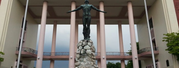 University of the Philippines (UP) is one of Metro Manila Landmarks.