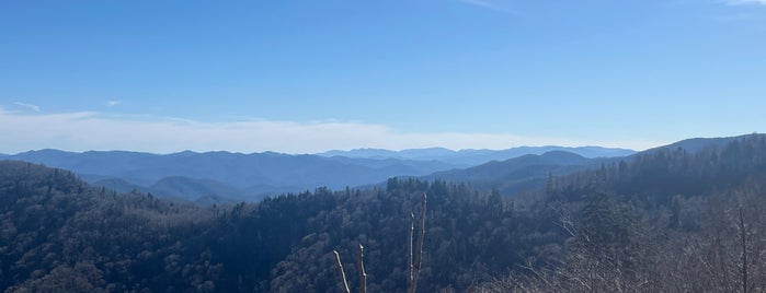 Newfound Gap is one of Great Smoky Mountains Road Trip aka Dragon!.