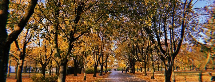 Park Kasprowicza is one of Poznan #4sqcity by Luc.
