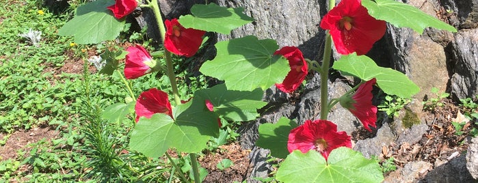 Sullivan Cliff Gardens is one of Joyce’s Liked Places.