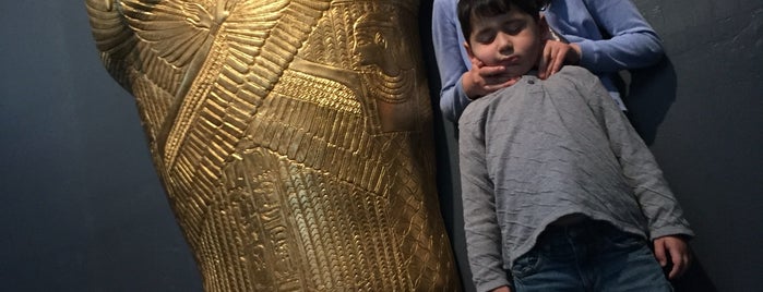 Tutankamón: La Tumba, el Oro y la Maldición is one of Locais curtidos por Nayeli.