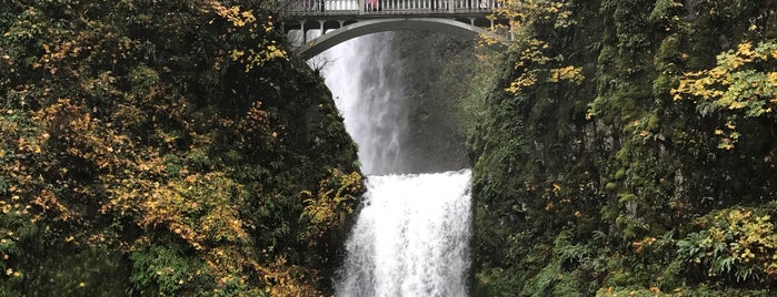 Multnomah Falls is one of Tempat yang Disukai Enrique.