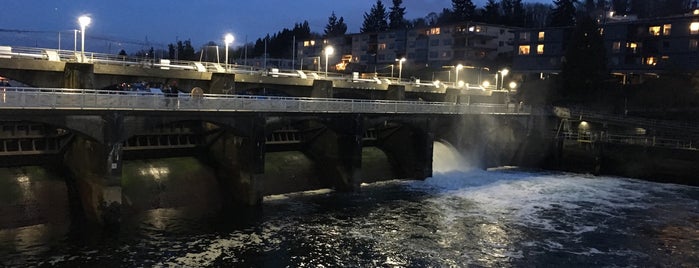 Hiram M. Chittenden Locks is one of Lugares favoritos de Enrique.