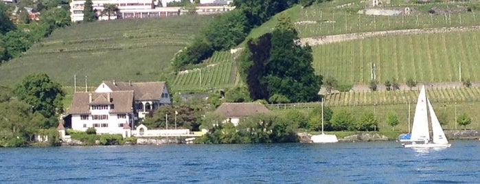 Weingut SCHIPF is one of Zurich.