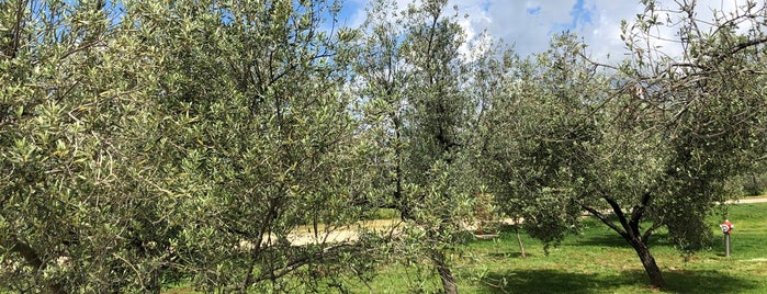 Chiavalon Olive Oil Farm is one of Пула.