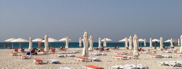 Saadiyat Public Beach managed by BAKE is one of Essential NYU: Abu Dhabi.