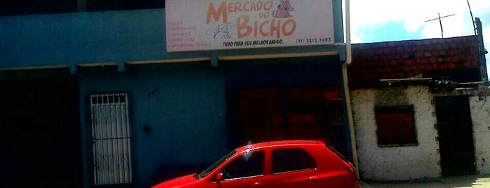 Mercado do Bicho is one of mayor ships.