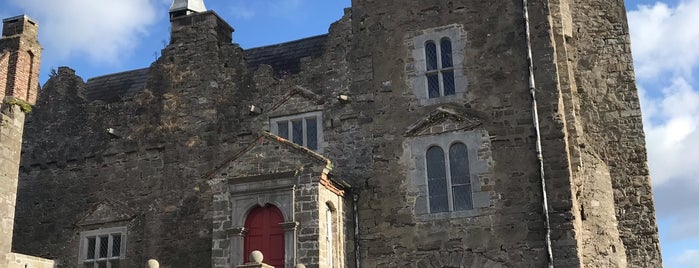 Drimnagh Castle is one of Wedding Adventure.
