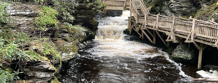 Bushkill Falls is one of places.