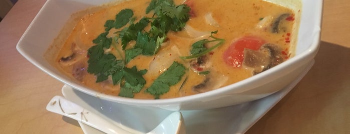 Thai & Fusion is one of The 11 Best Thai Restaurants in Fort Worth.